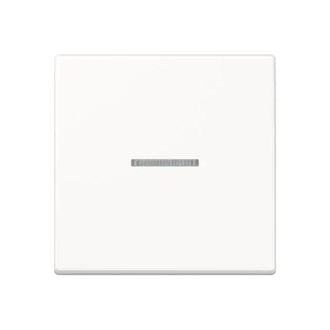 Jung JUNG HOME Taster 1fach BTA17101WW Brushed Nickel