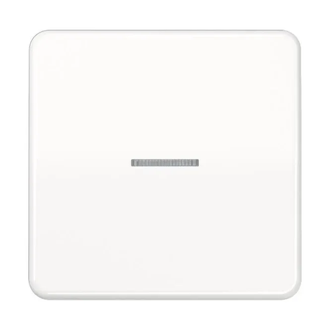 Jung JUNG HOME Taster 1fach BTCD17101WW