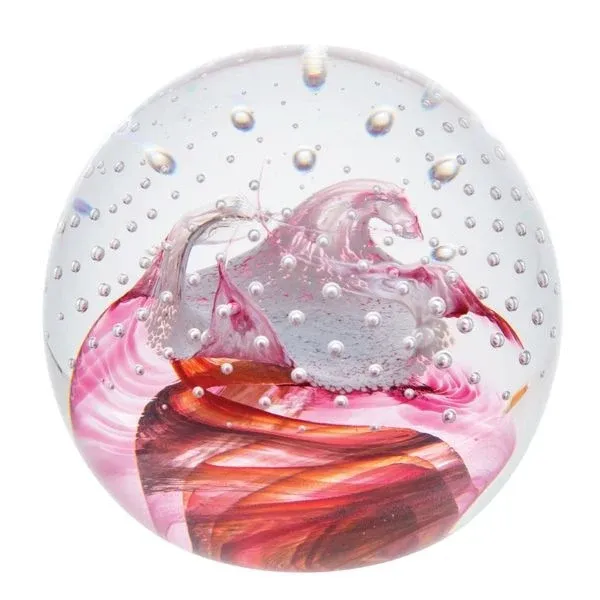 Laser Level Celebrations - Congratulations Ruby