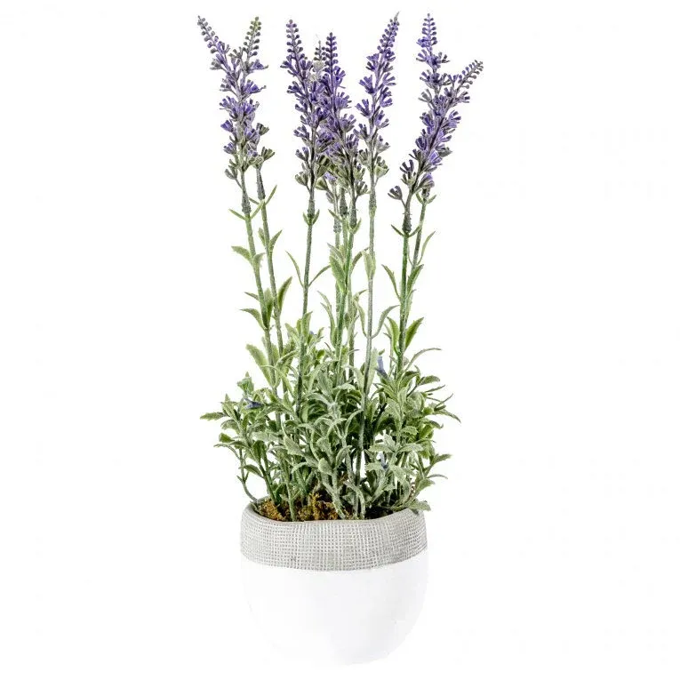 Lavender Ivory Pot Large - 20V