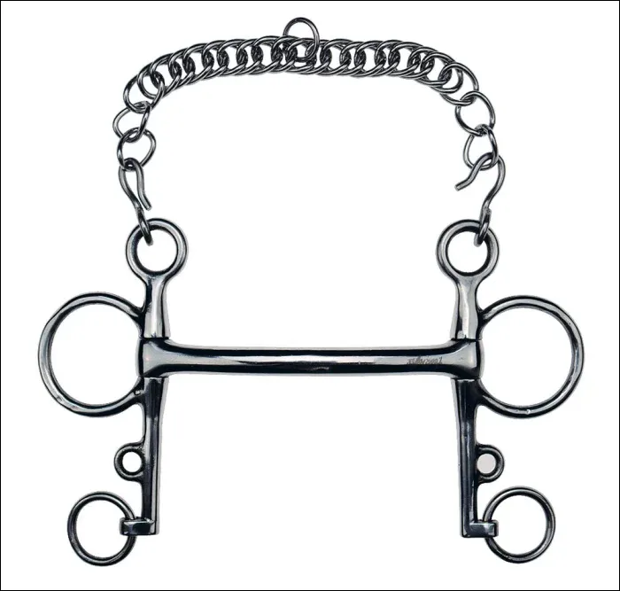 Magnetic Mullen Pelham Bit