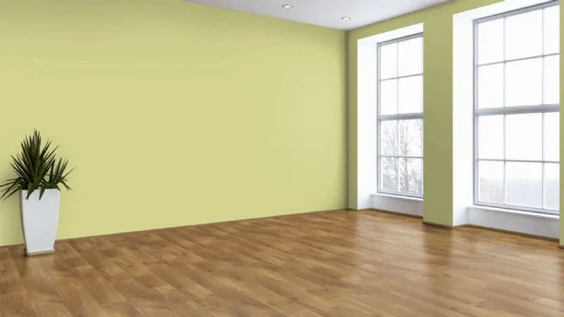 Magnetic Oak Unrefined Senior 12mm