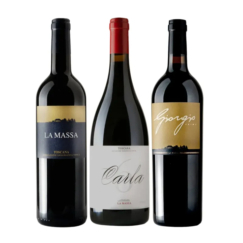 La Massa Discovery Box Storage Case