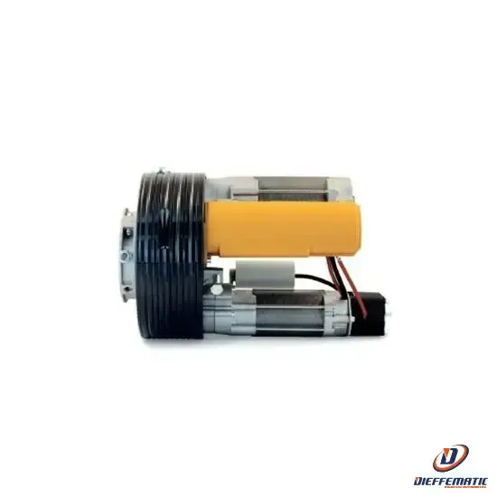 Motore Con Elettrofreno X Serrande Asse 48 - 60 Molla 200 Bi-motore 300kg 230v