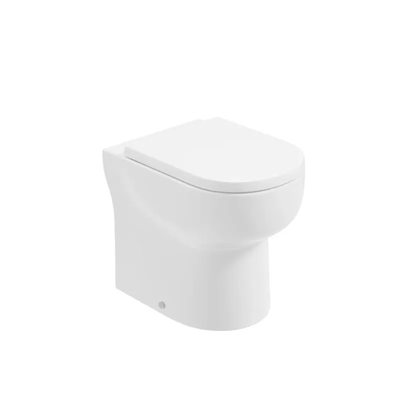 Multi-Purpose VIA Rimless Comfort Height Back To Wall WC & Delta Smooth Close Seat