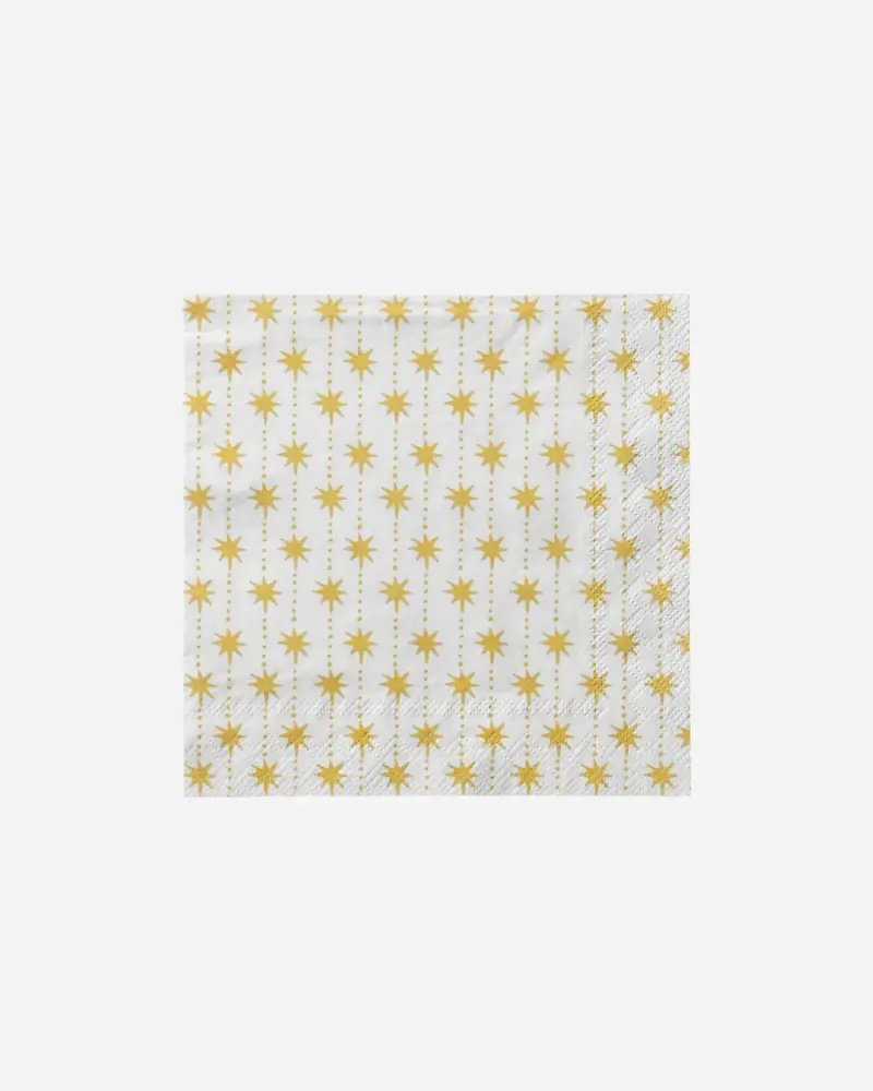 Napkins Golden Star Storage Case
