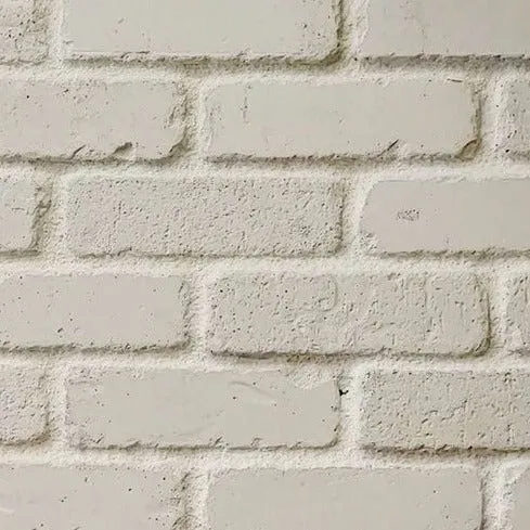 Placage de brique Canyon Brushed Nickel