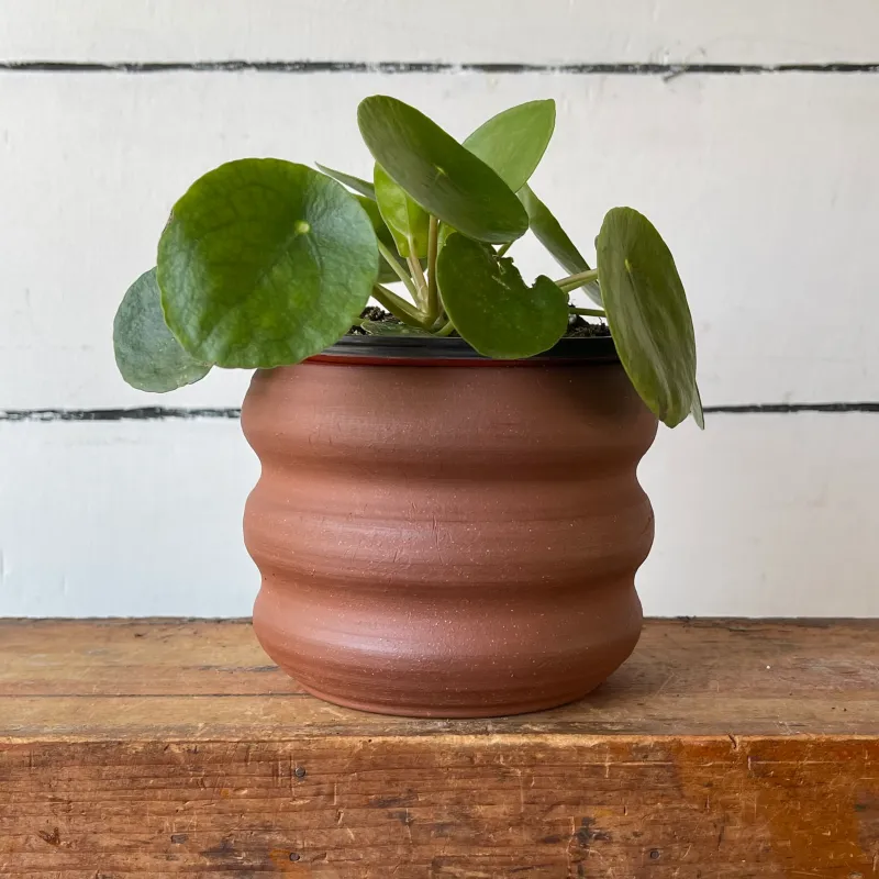 Planter No. 19
