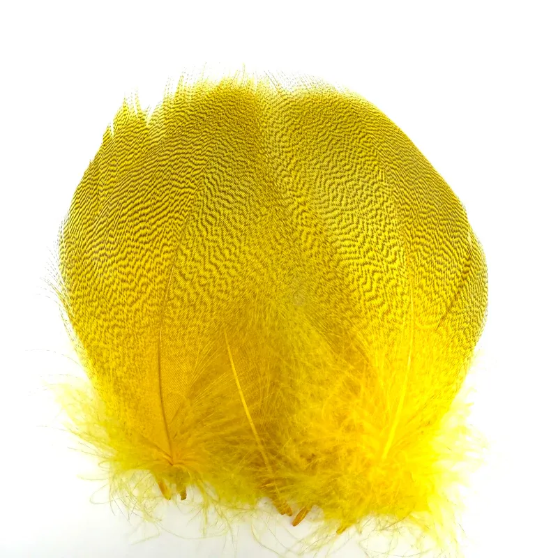 Plumes de flanc de cannard super select-Veniard Drywall Installation