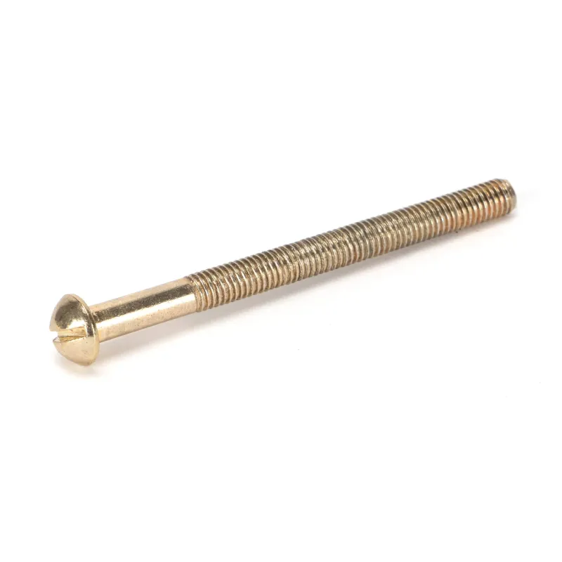 Polished Warm alloy SS M5 x 64mm Male Bolt (1) | From Anvil