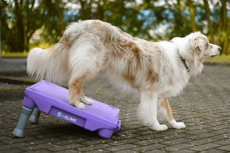 Premium Quality Klimb Table de Proprioception