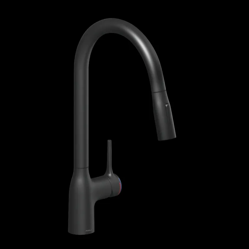 Robinet douchette Luisina CAMILLE noir mat Easy Installation