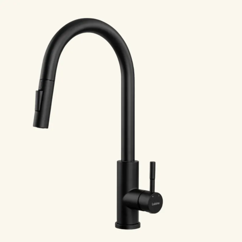 Robinet douchette Luisina inox noir mat MARCEAU DIY Projects