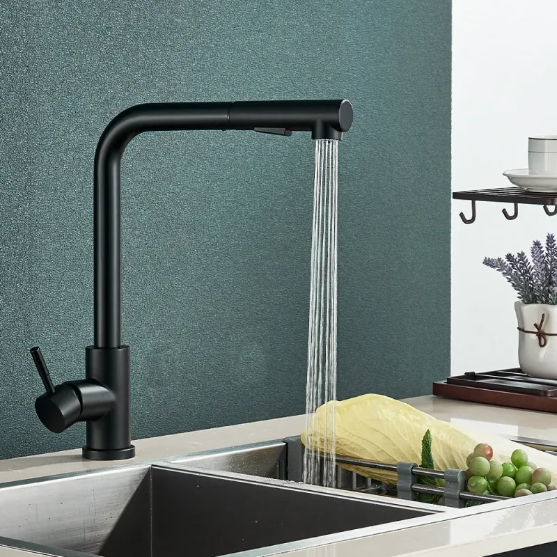 Robinet Lavabo avec Douchette Extractible en Acier Inoxydable Vibration Reduction