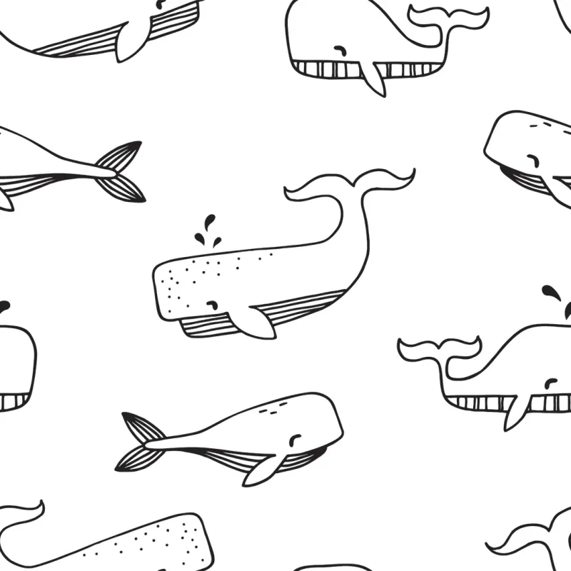 Sample Whale Hello Wallpaper Black and Snow