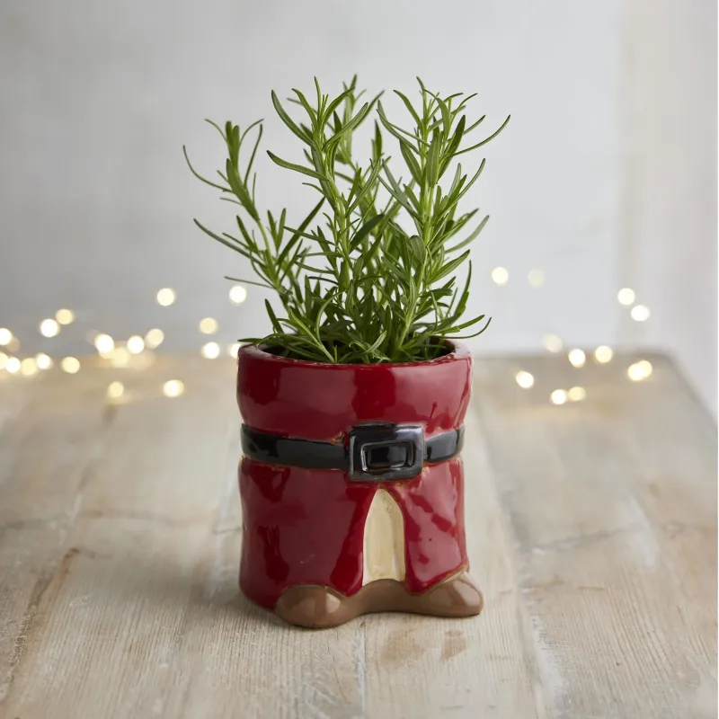 Santa's Wellies Plant Pot Vibration Reduction