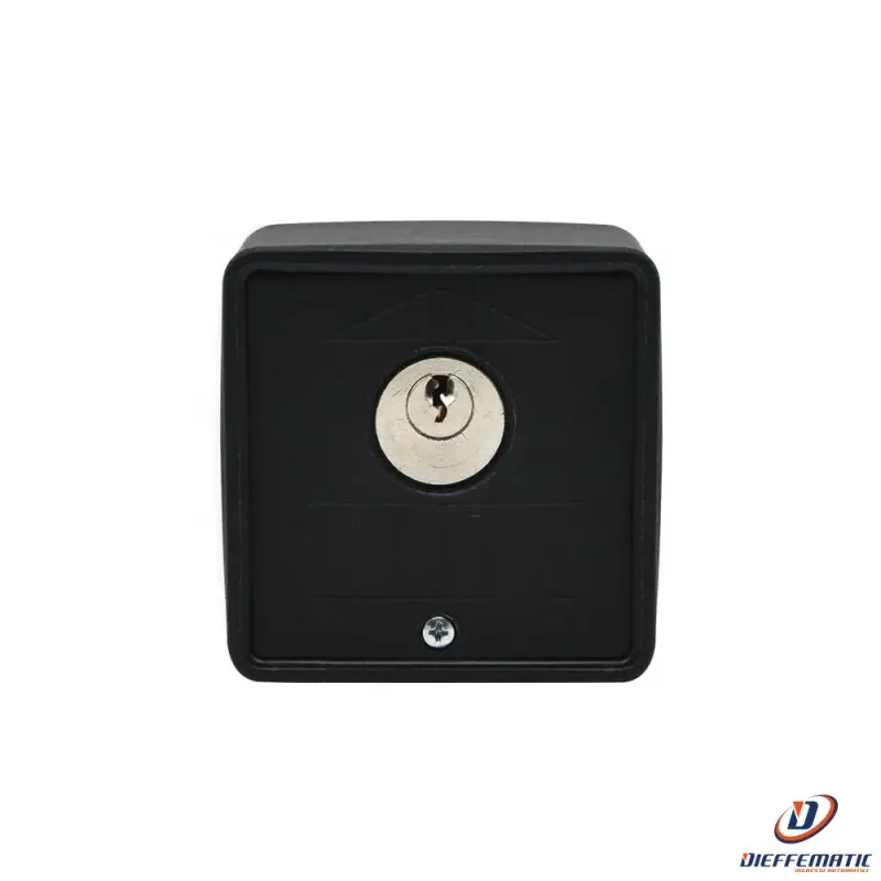Selettore Start Con Chiave E Cilindro Plastica Compatibile Con Rib Home & Workshop