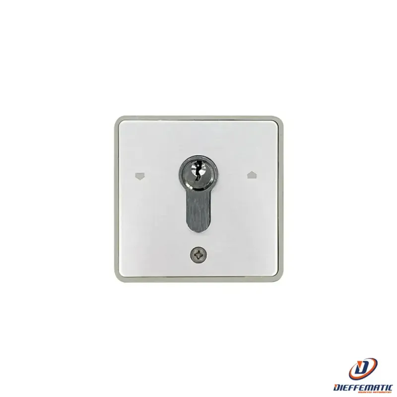 Selettore Start Stop Con Chiave E Cilindro Europeo Esterno Si Adatta 198-I Brushed Nickel