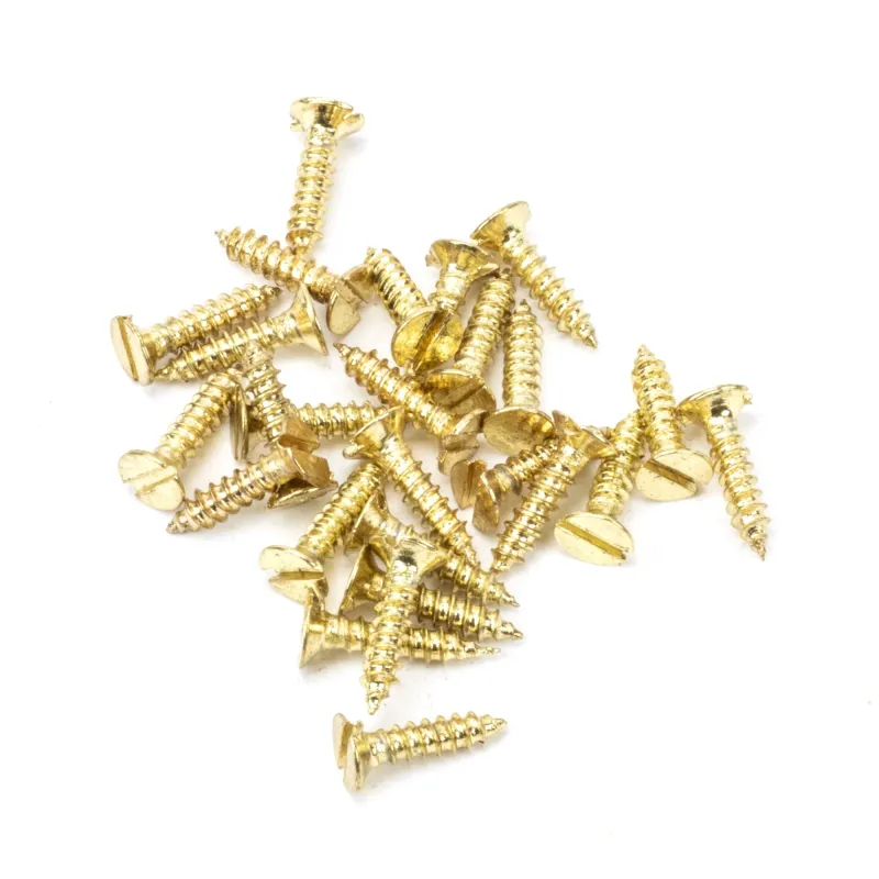 Shiny Brass SS 4x½" Countersunk Screws (25) | From Anvil