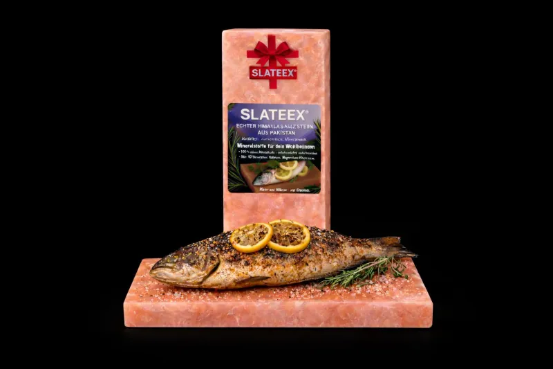 Slateex Salzstein 20x10x2,5cm