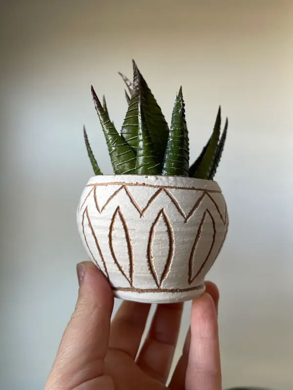 Stoneware Planter 3-Year Service Plan