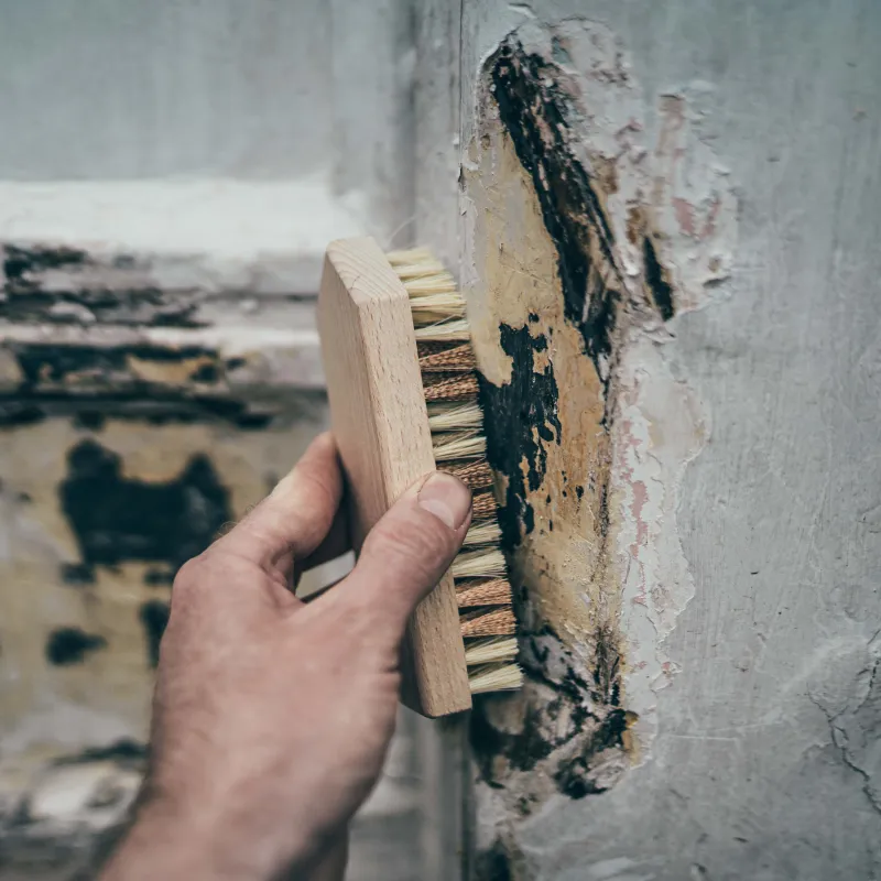 Stripping Brush DIY Projects