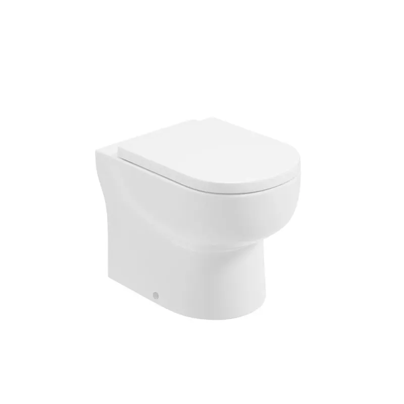 VIA Rimless Back To Wall WC & Delta Plush Close Seat