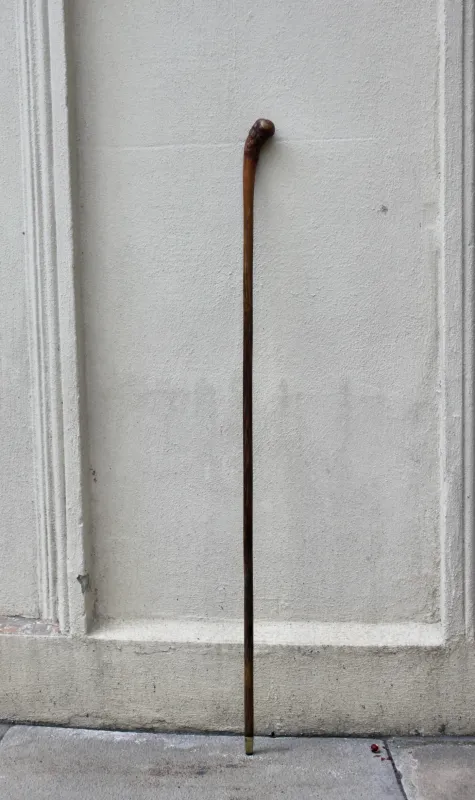Walking cane reflective root handle Circa 1900