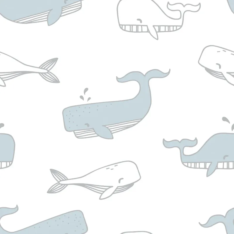 Whale Hello Wallpaper Azure and Grey Kit Accessories