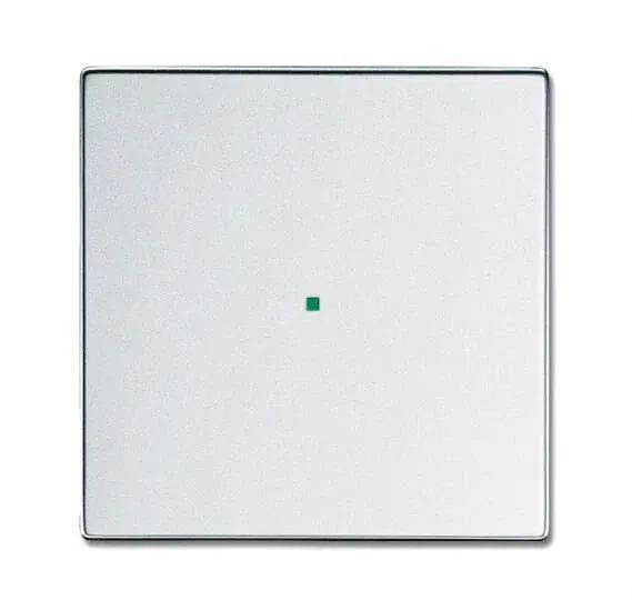 BJ Wippe 1fach 6230-10-83 Busch-free@home alusilber