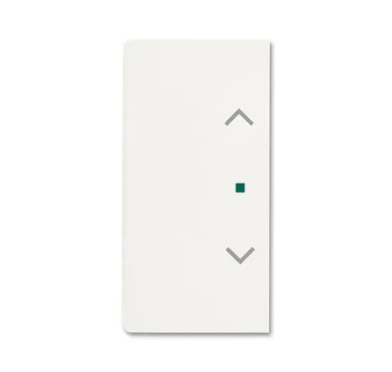 BJ Wippe 2f Jalousie matt 6232-20-884 sws Busch-free@home future linear