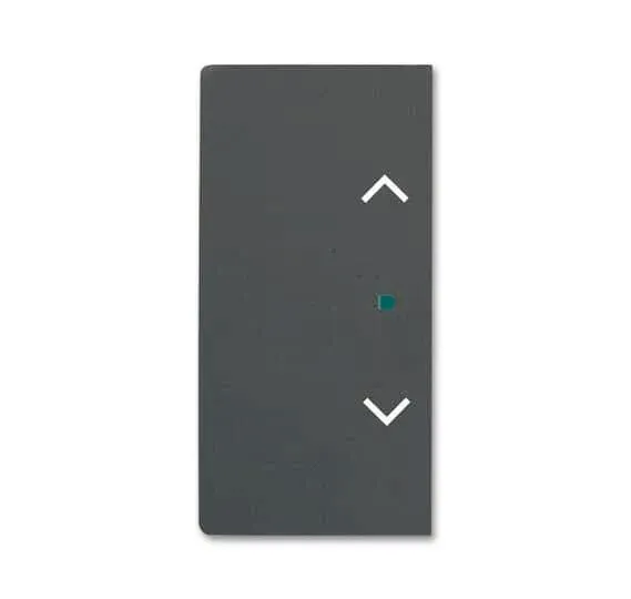 BJ Wippe 2f Jalousie schwarz 6232-20-885 matt Busch-free@home future linear