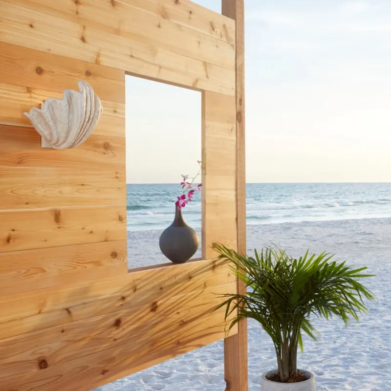 Rustic Farmhouse Ivory clamshell wall sconce