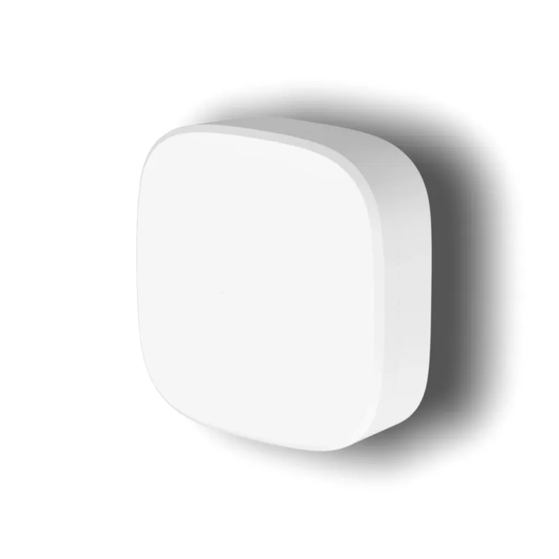 Connected Water Leakage Sensor